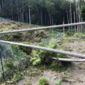 令和５年台風7号による倒木で破壊された獣害防止ネット